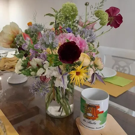 Bed & Breakfast Da Baba Ghizzano